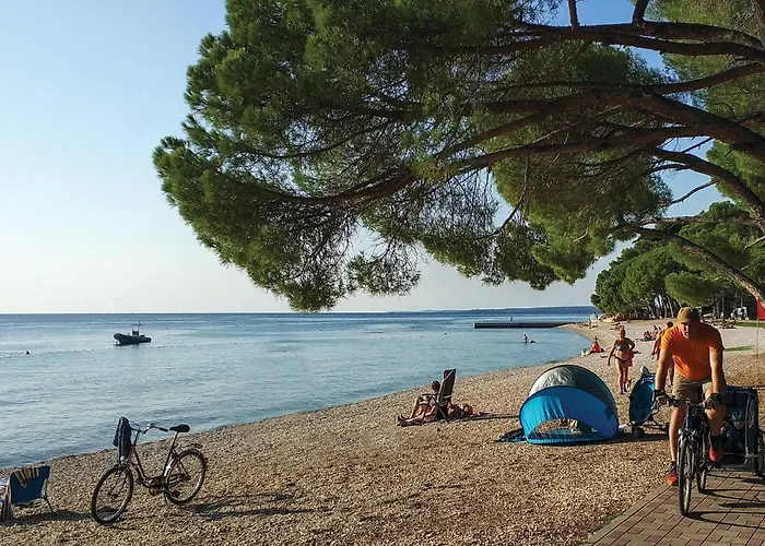 Apartman Cozy In With Wifi *