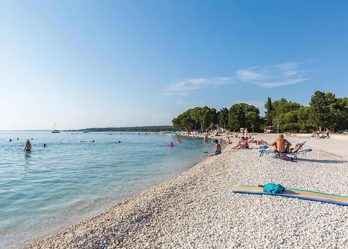 Cozy In With Wifi Apartman *